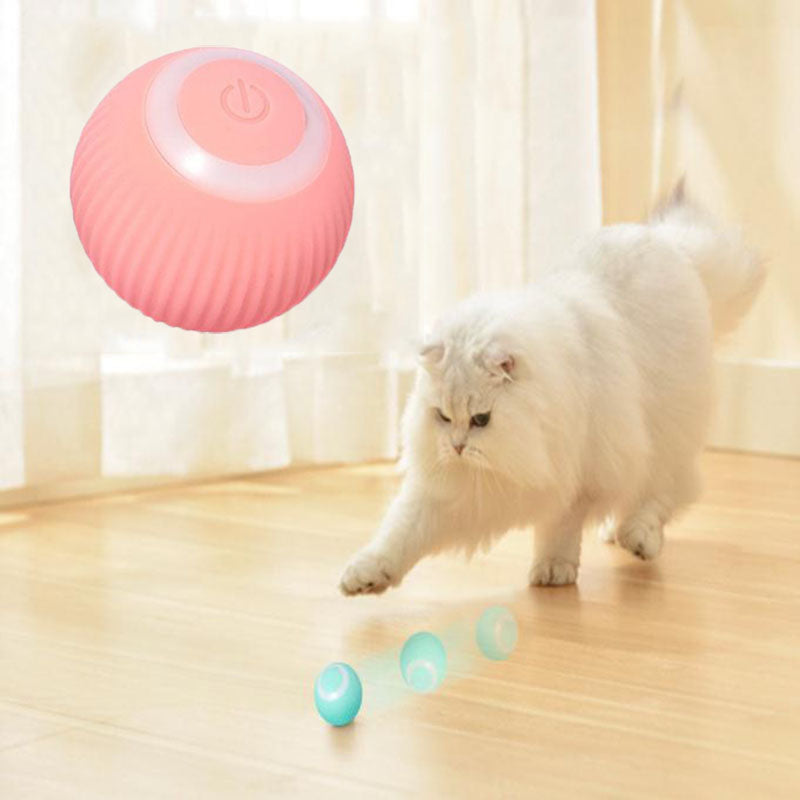Feline Fun™ Interactive Ball