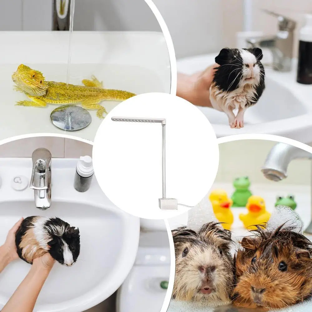 Bearded Dragon Bath Shower Head Cleaning Tools Bearded Dragon Accessories Pet Supplies Electric 360 Rotation Showerhead For
