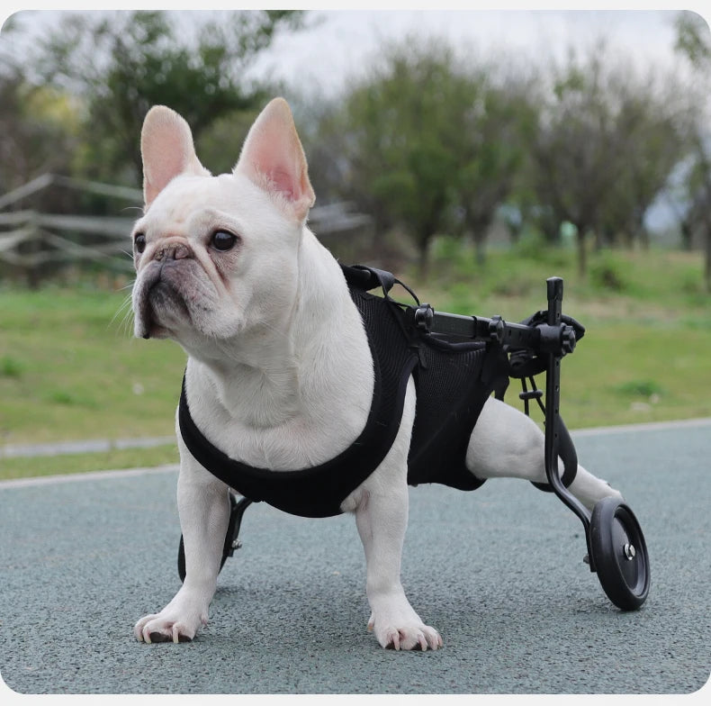 Disability dog travel assistive vehicle chest and back harness dog rehabilitation exercise chest and back pet supplies