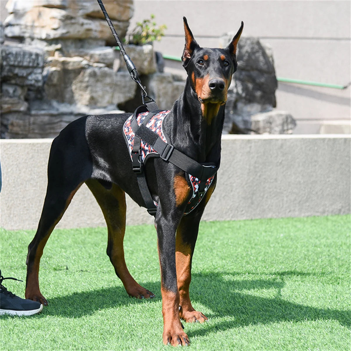 Dog Harness Reflective Chest for Dogs Custom No Pull Dog Breathable Vest Adjustable Harness Pet Supplies