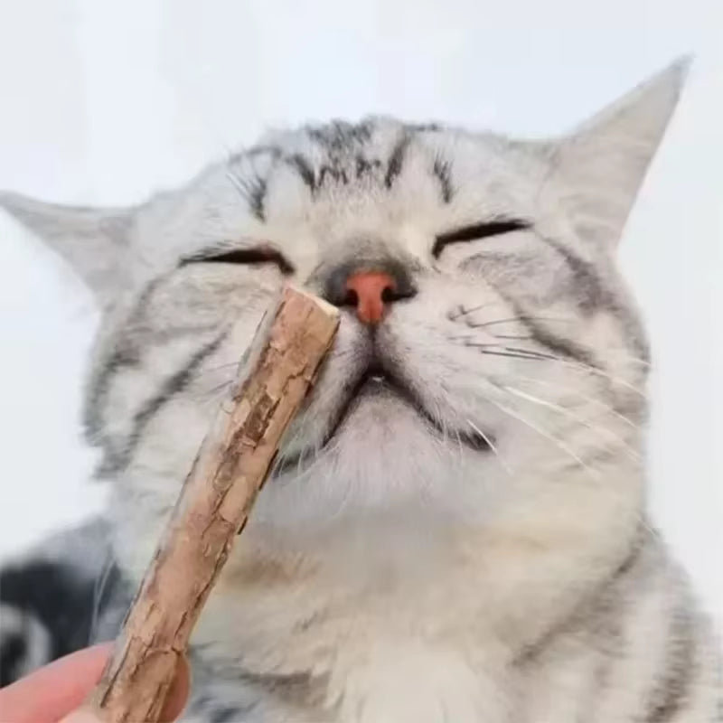 Natural Silvervine Sticks for Cats Teeth Cleaning / Kitten Teething / Training Catnip Teaser