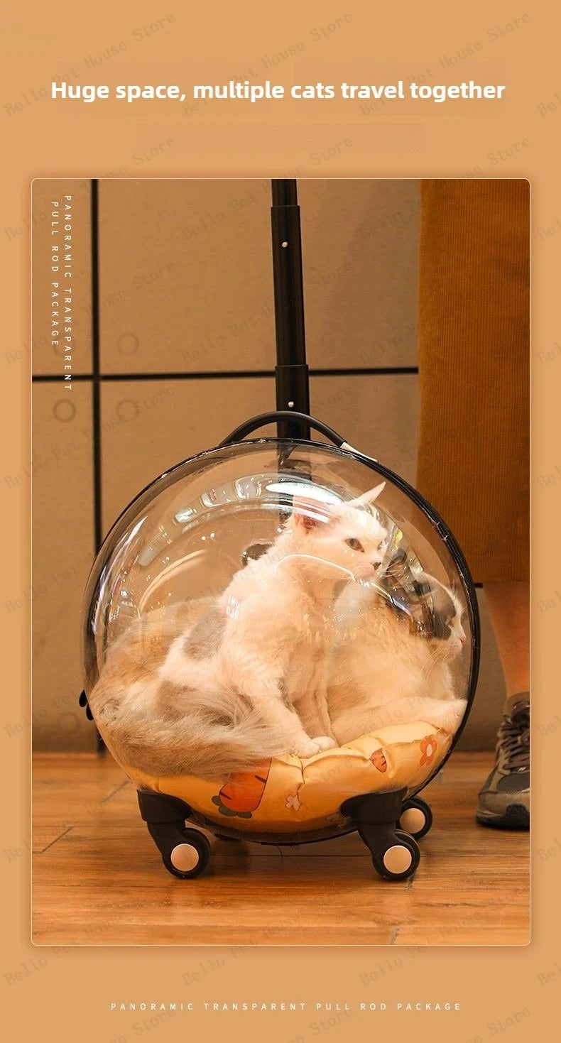 Portable Cat Bag for Going Out Large Capacity Transparent Breathable Pet Trolley Case Cat Travel Bag Pet Supplies Cat nest
