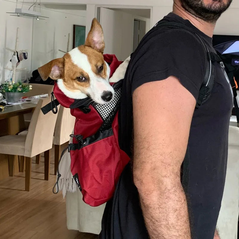 Strong Nylon Dog Carrier Backpack for Small Medium Dogs High Quality Breathable Cycling Backpack for Outdoor Travel Pet Supplies