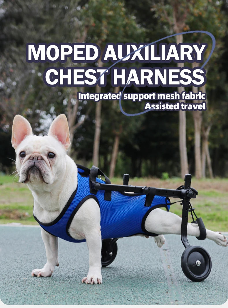 Disability dog travel assistive vehicle chest and back harness dog rehabilitation exercise chest and back pet supplies