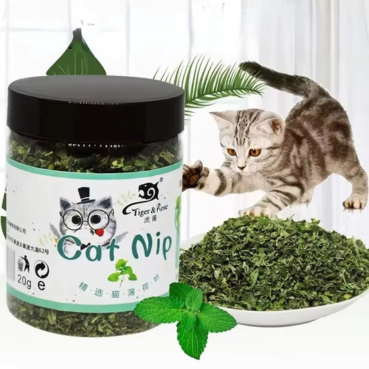Organic 100% Natural High Quality Catnip Cattle Grass