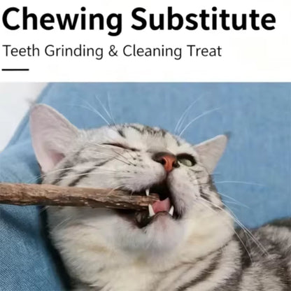 Natural Silvervine Sticks for Cats Teeth Cleaning / Kitten Teething / Training Catnip Teaser
