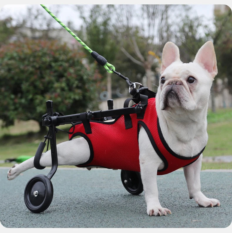 Disability dog travel assistive vehicle chest and back harness dog rehabilitation exercise chest and back pet supplies