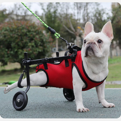Disability dog travel assistive vehicle chest and back harness dog rehabilitation exercise chest and back pet supplies