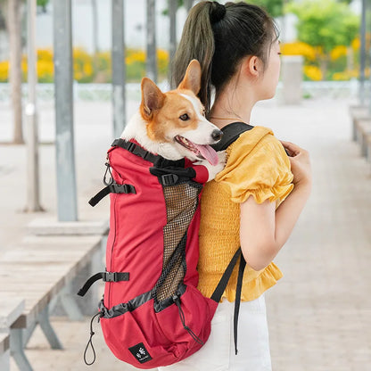 Strong Nylon Dog Carrier Backpack for Small Medium Dogs High Quality Breathable Cycling Backpack for Outdoor Travel Pet Supplies